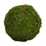 Moss Balls