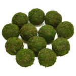 Moss Balls - Image 3