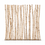 Birch Wall