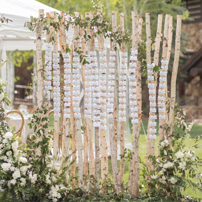 Birch Wall - Image 2