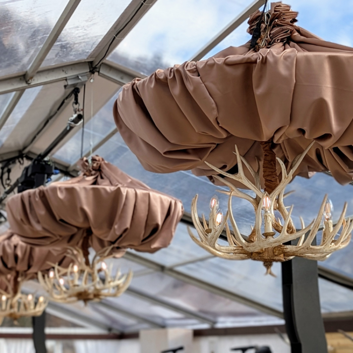 White Antler Chandelier - Image 2