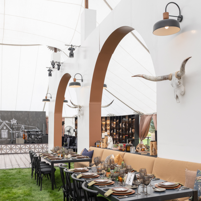 Longhorn Skull - Image 2